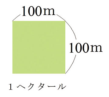 ヘクタール