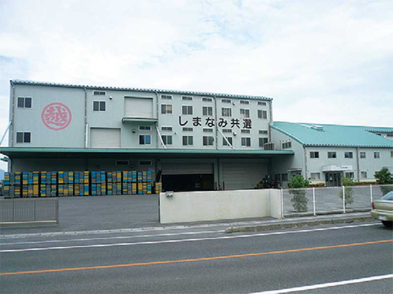 選果場