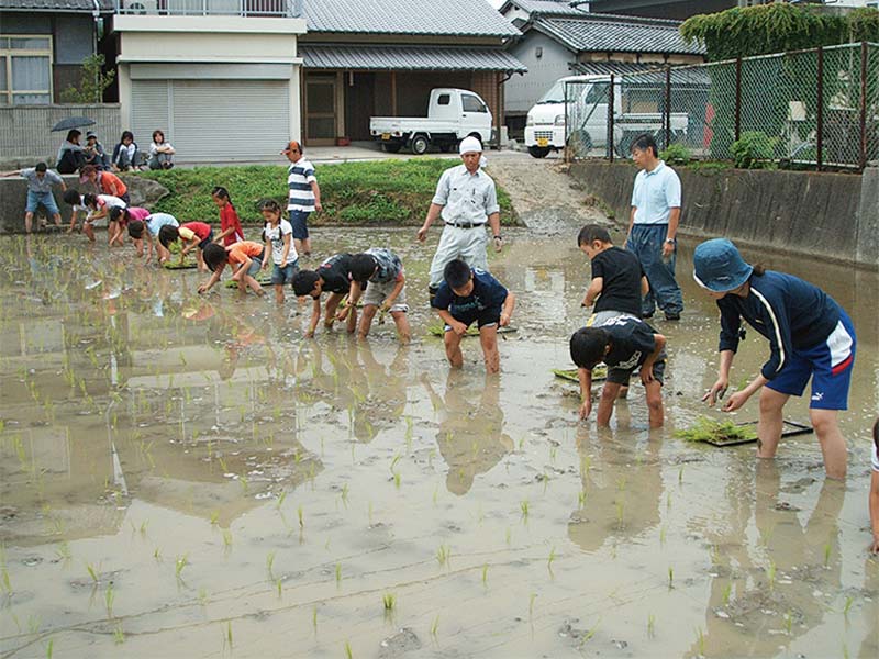田植え