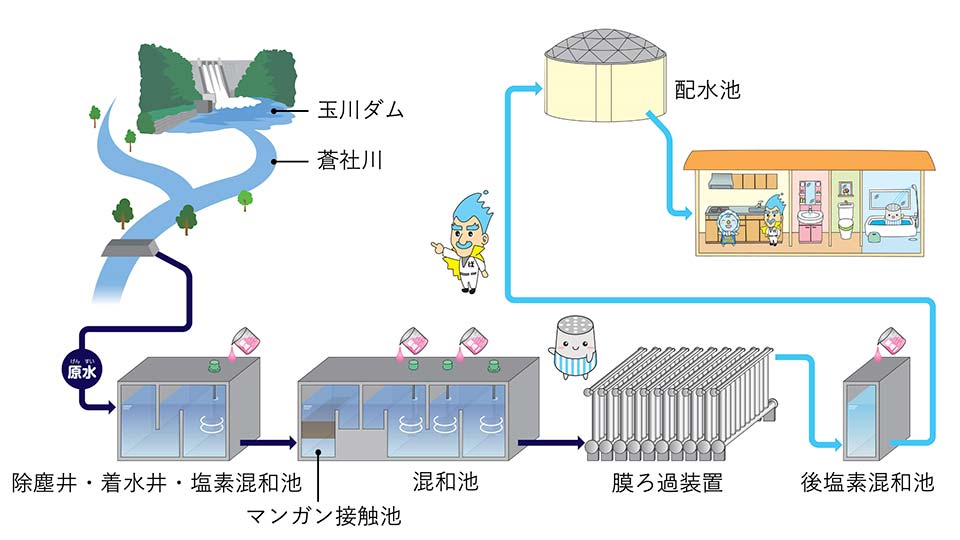 のみ水ができるまで
