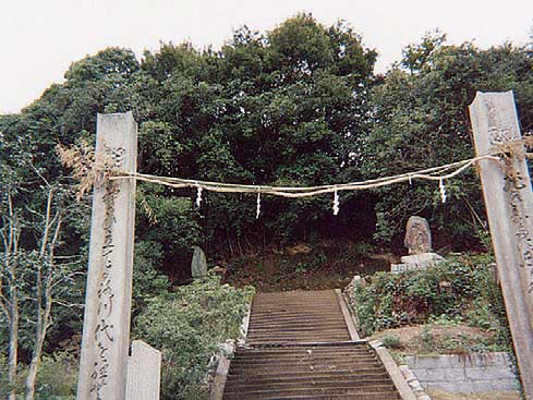 権現山