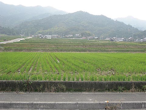 古谷地区
